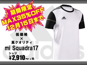 グローバルmiadidasのSquadra17