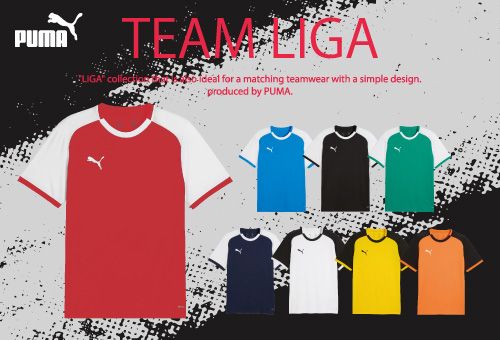 PUMA TEAM LIGAユニフォーム